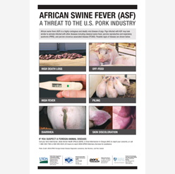 African Swine Fever Poster